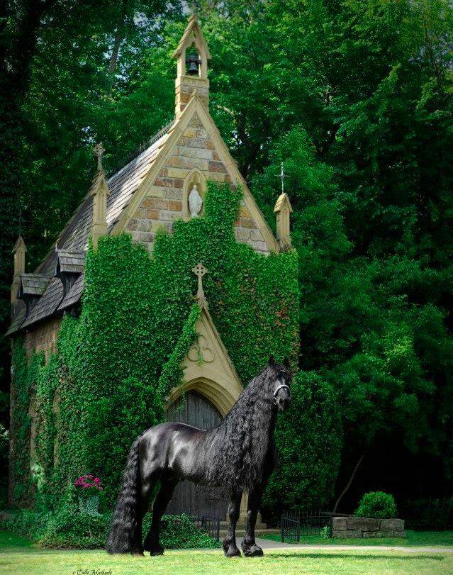 Everyone`s Fairy Tale horse.